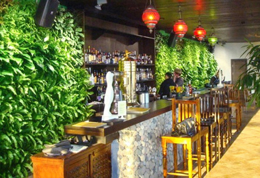 酒吧植物墙案例