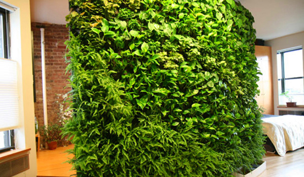 立体绿化：植物墙的作用讲解