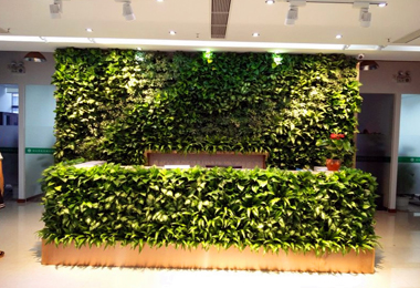 公司前台室内植物墙