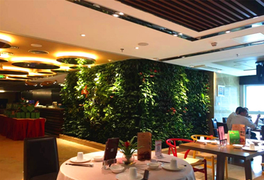 乐吧餐饮室内餐厅植物墙