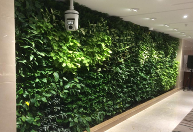 欧宁大厦室内走廊植物墙