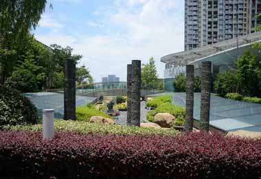 通威国际园区绿化