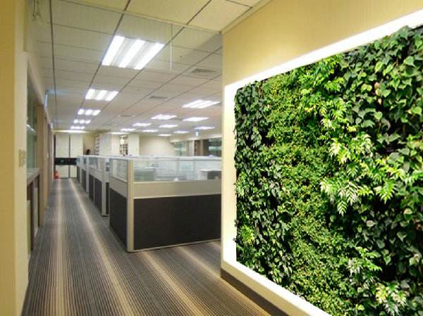 质炎商务办公室植物墙