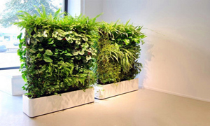 【创意】不用盆栽，就让植物长在家具上