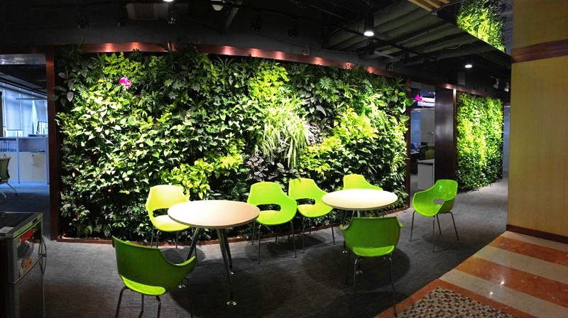 立体绿化：为什么大家都喜欢做植物墙有哪些好处