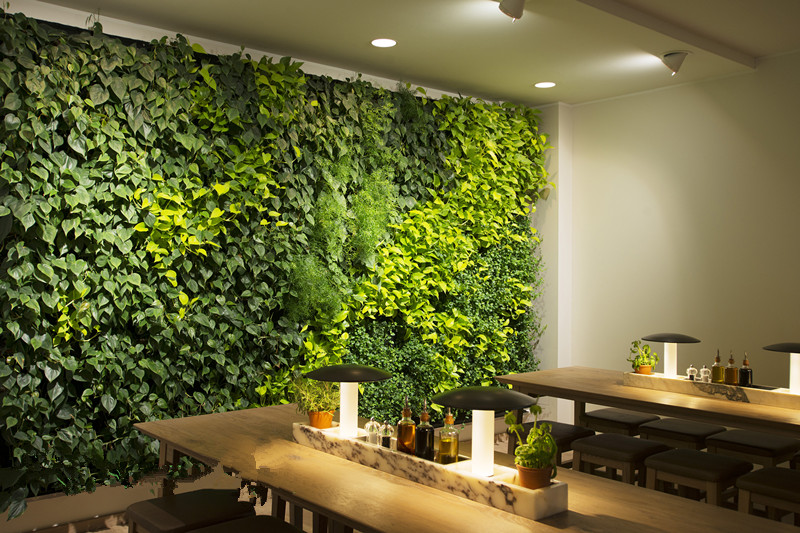 都市伊甸园：态餐厅活体植物墙给您完全不一样的体验