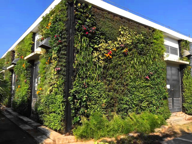 室外墙体植物墙