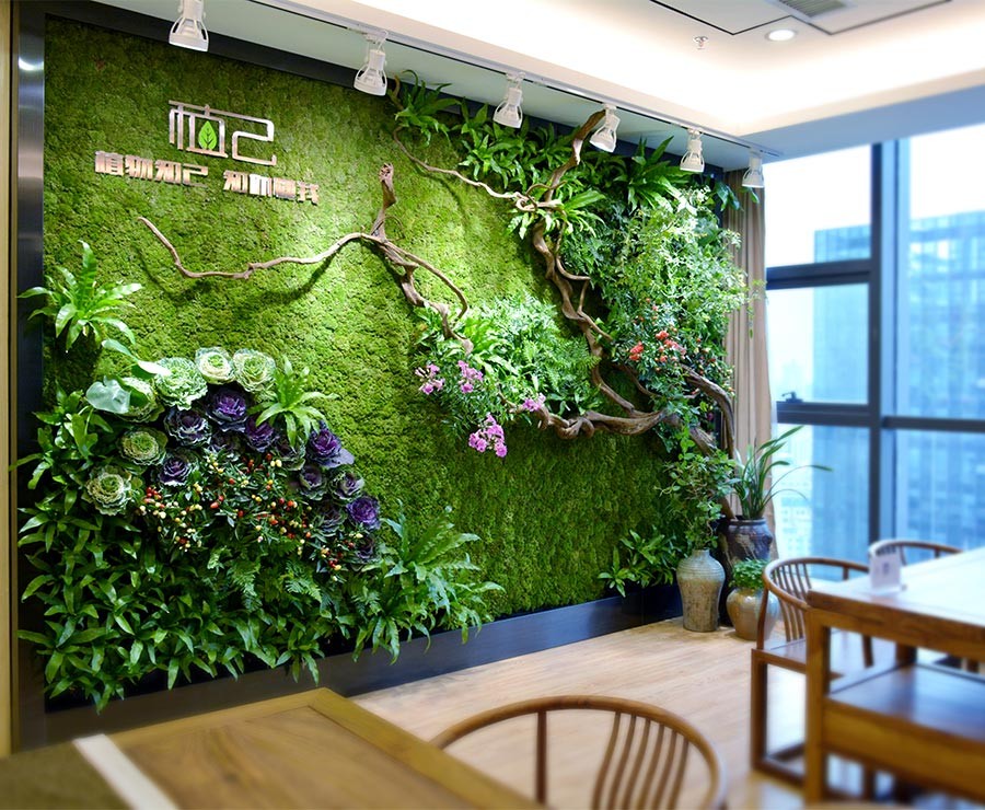 室内植物墙