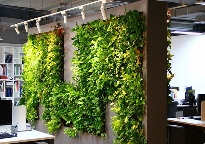 都市伊甸园：浅谈活体植物墙在家装环境中的应用