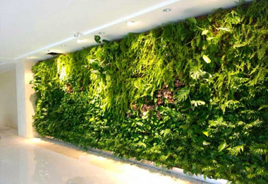 用绿植装饰建筑 宁波首个种植毯垂直绿化墙正式亮相