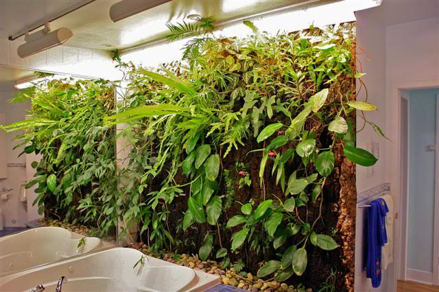 【都市伊甸园】植物墙的五大优势