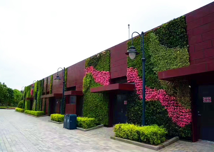 室外墙体植物墙