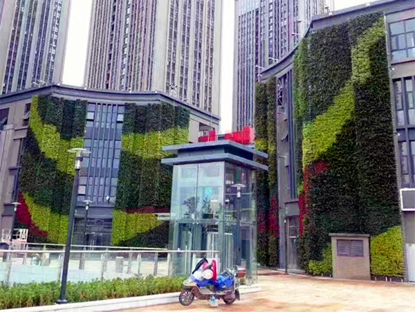室外植物墙
