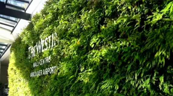 都市伊甸园浅谈植物墙行业的四大商业支柱