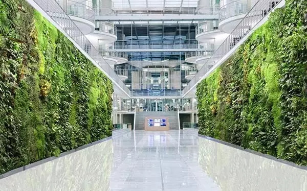都市伊甸园：植物墙的工程管理具体是些什么？