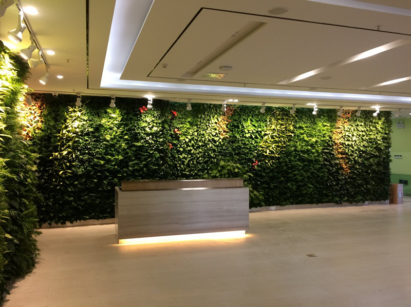 都市伊甸园：浅谈植物墙售前、售中、售后服务 