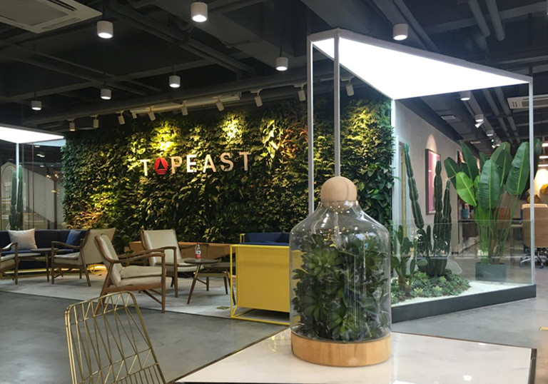 都市伊甸园：植物墙行业创业需要注意的一些事项 