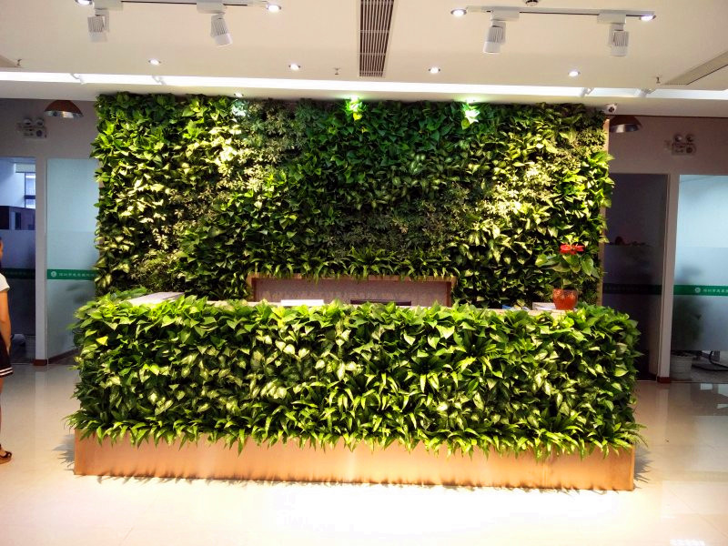 都市伊甸园：全面解析植物墙成本核算明细表