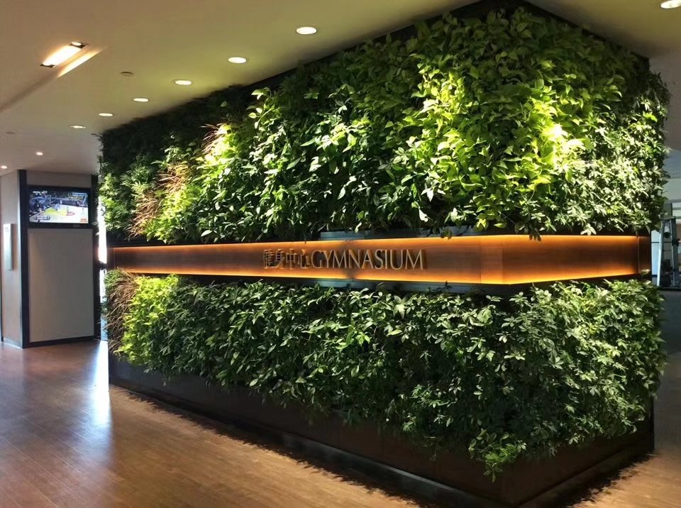 都市伊甸园：植物墙养护和栽培的时需要注意哪些问题？