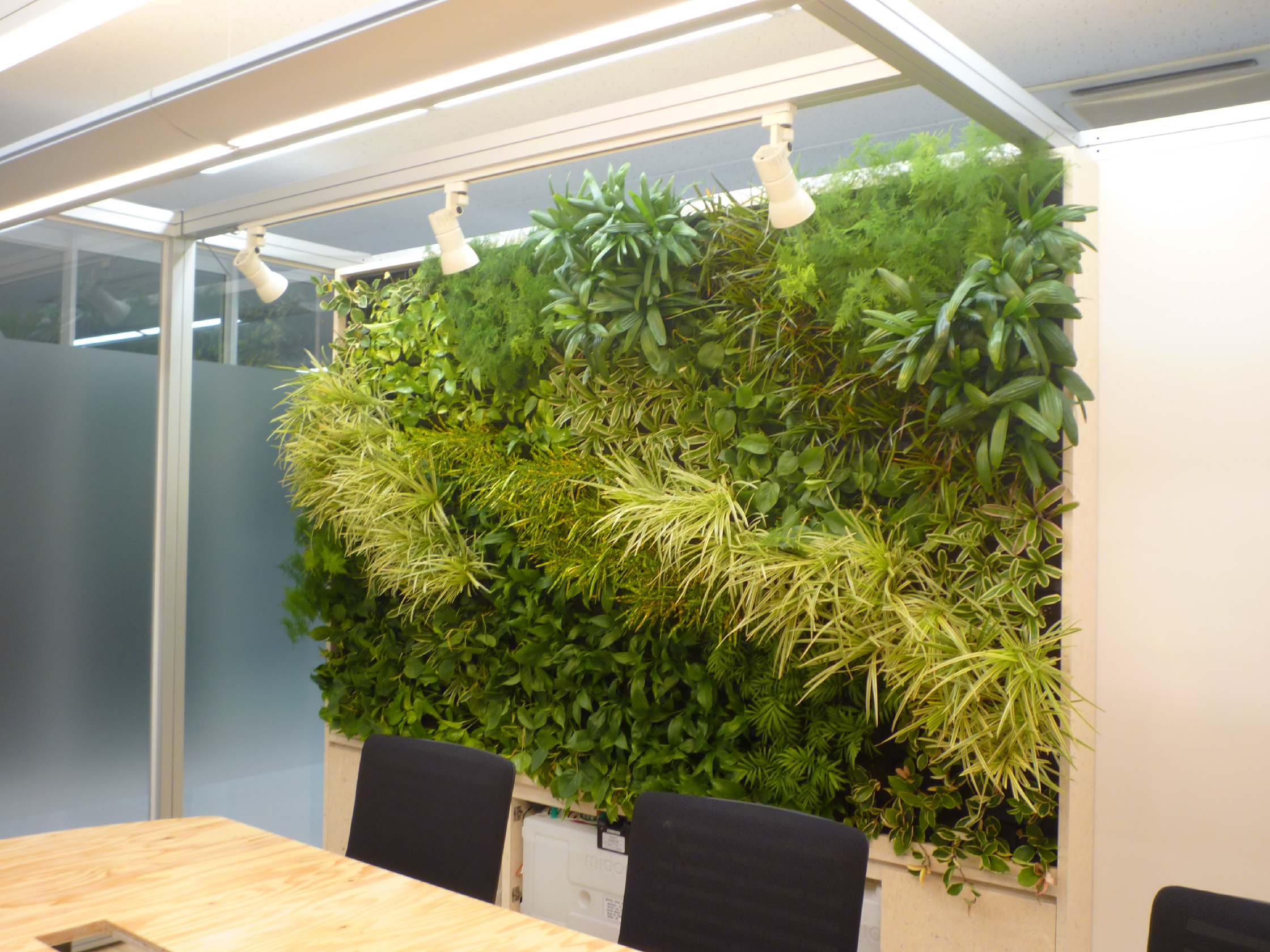 都市伊甸园：植物墙logo设计应用在哪几方面？