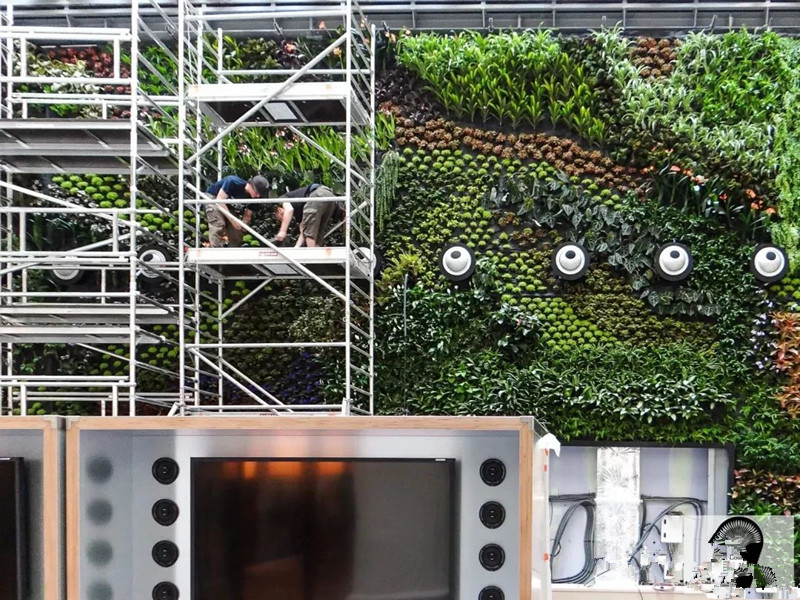 都市伊甸园：植物墙施工常用的十种工具