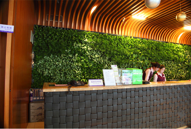 都市伊甸园：植物墙的5种衍生产品，同样美到爆!