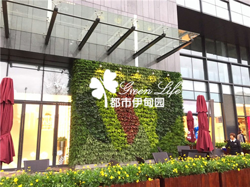 室外植物墙制作公司哪有？