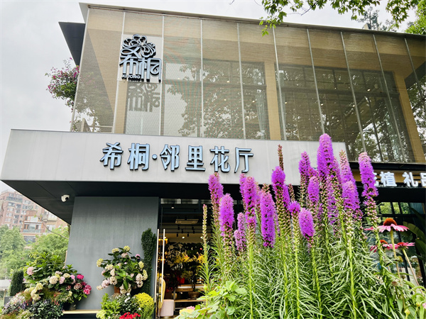 在花园中品茶，在茶香中赏花，我们的新花店上线了！